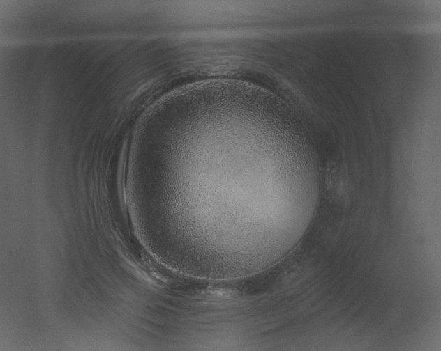 X0000051860741200506241320