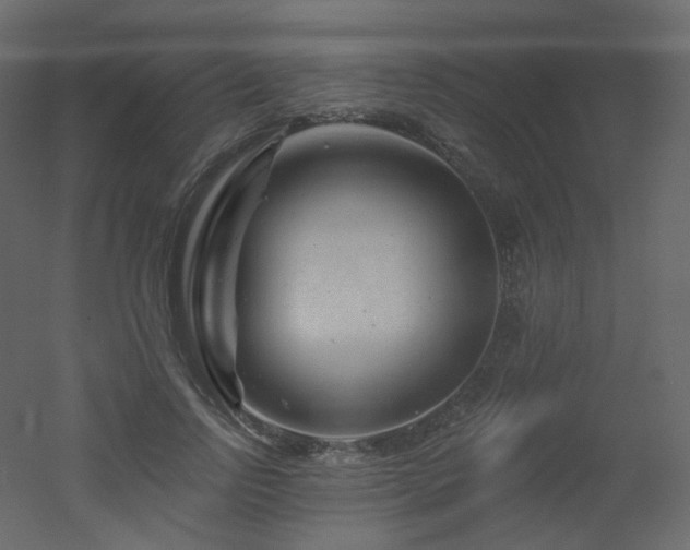 X0000051860742200506241320