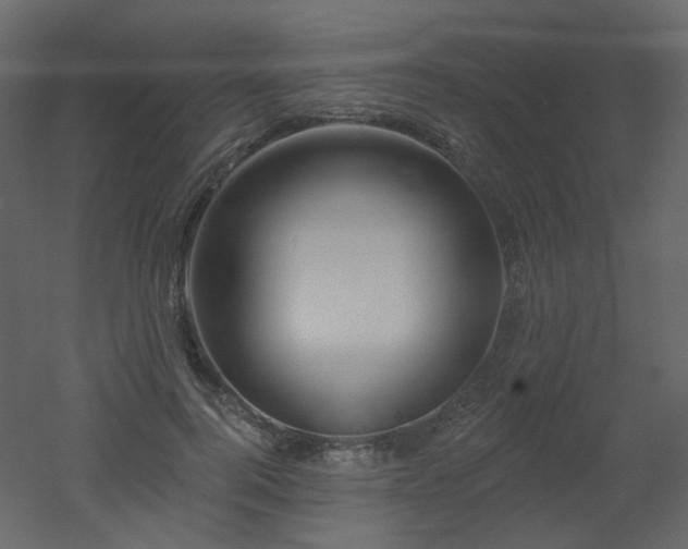 X0000051860744200506241320