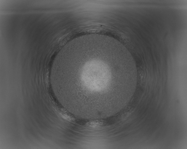 X0000051860745200506241320