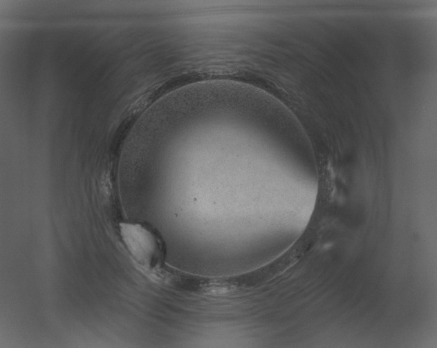 X0000051860746200506241320