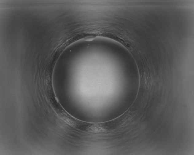 X0000051860747200506241320