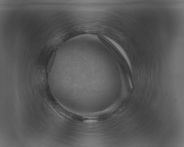 X0000051860748200506241320