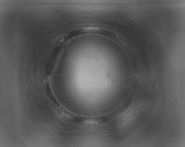 X0000051860749200506241320