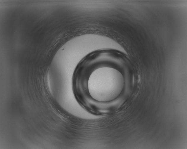 X0000051860750200506241321