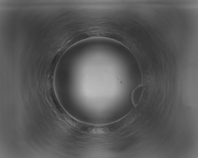 X0000051860751200506241321