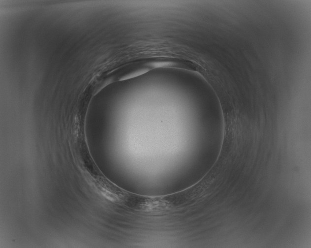 X0000051860752200506241321