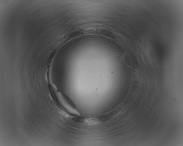 X0000051860753200506241321