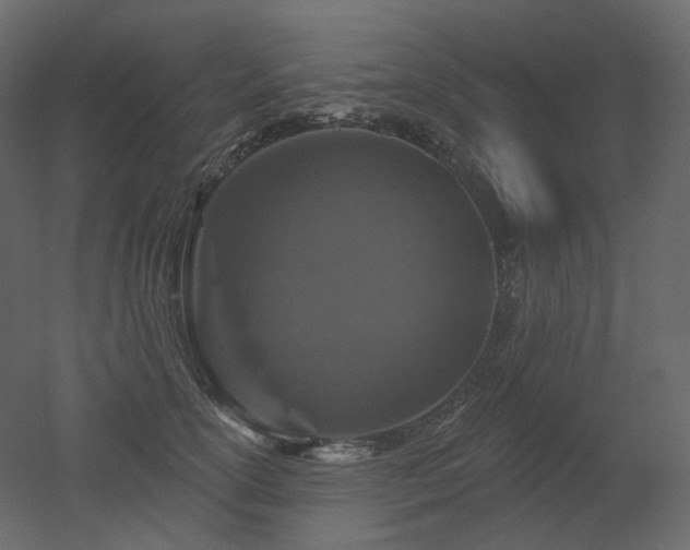 X0000051860754200506241321