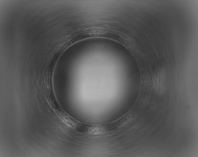 X0000051860755200506241321