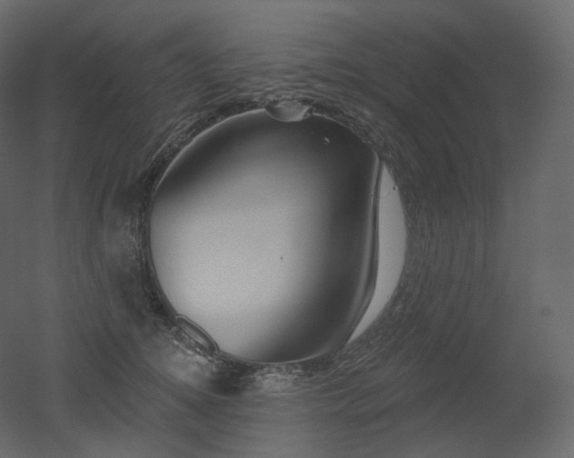 X0000051860756200506241321