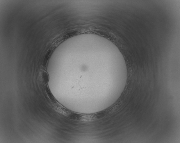 X0000051860757200506241321