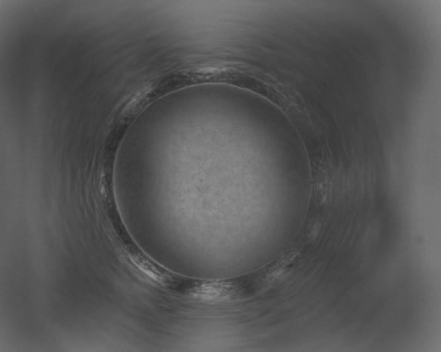 X0000051860758200506241321