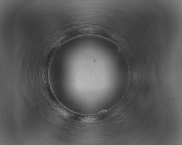 X0000051860759200506241321