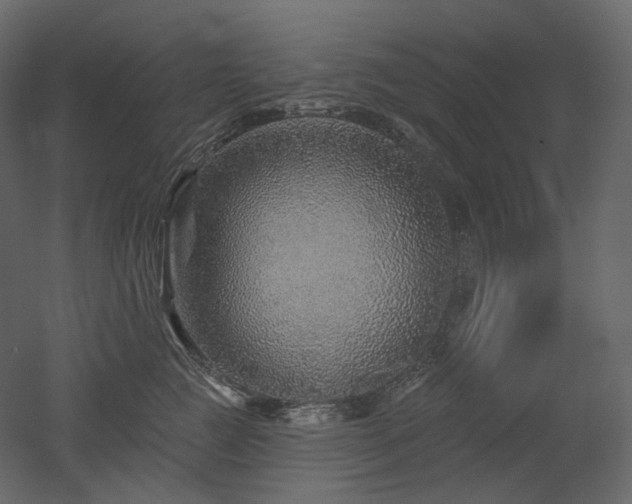 X0000051860761200506241321