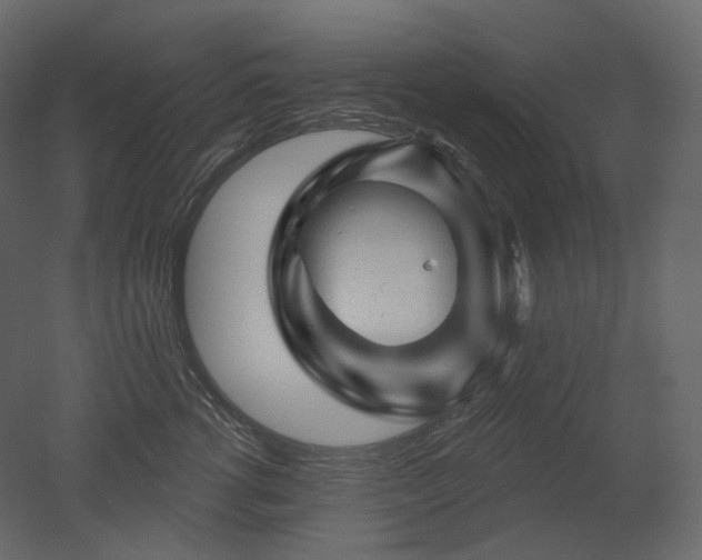 X0000051860762200506241321