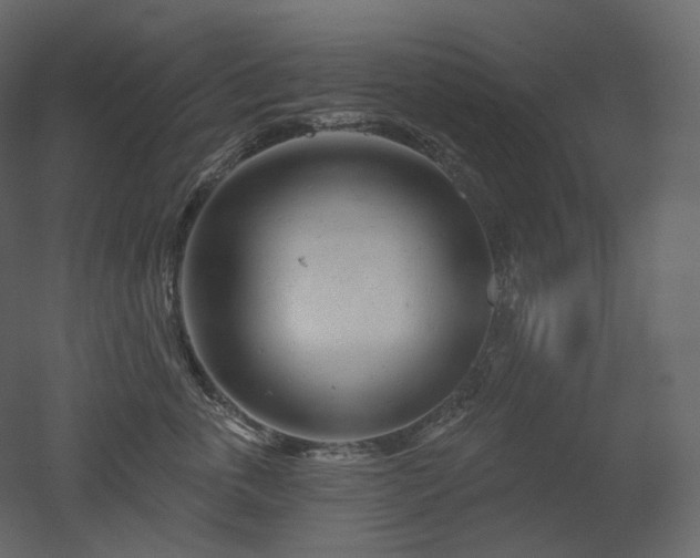 X0000051860763200506241321