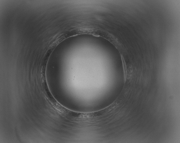 X0000051860764200506241321