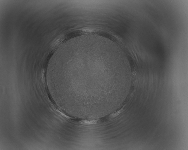 X0000051860765200506241321