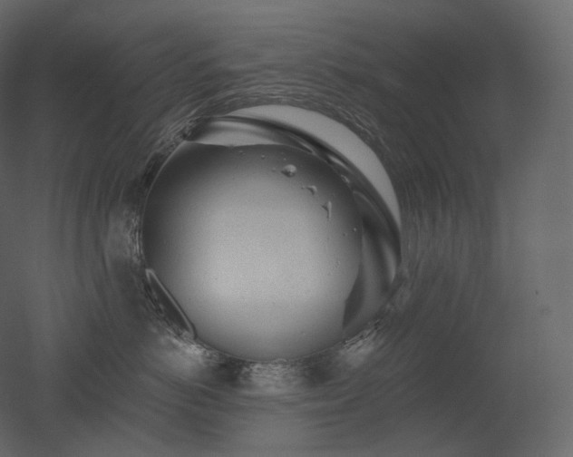 X0000051860766200506241321