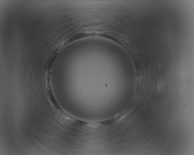 X0000051860767200506241321