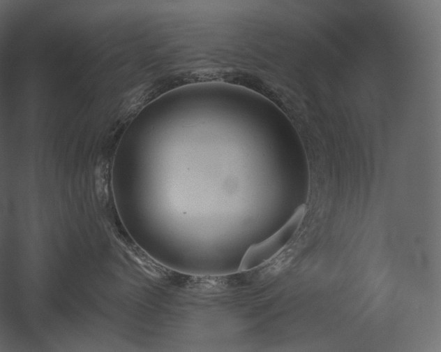 X0000051860768200506241321