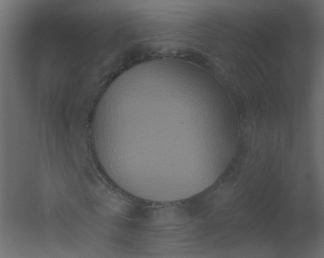 X0000051860769200506241320