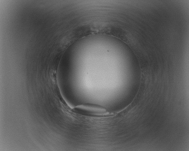 X0000051860770200506241320