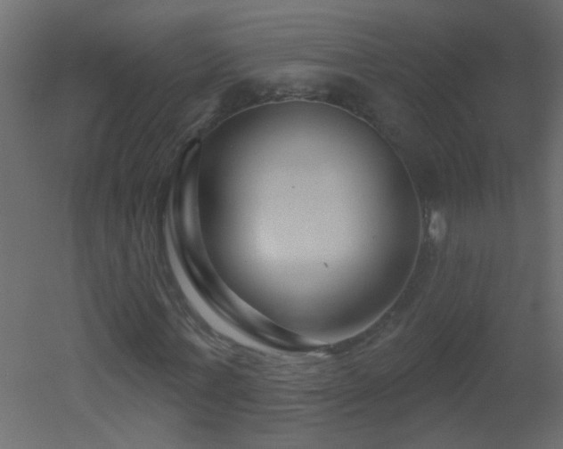 X0000051860771200506241320