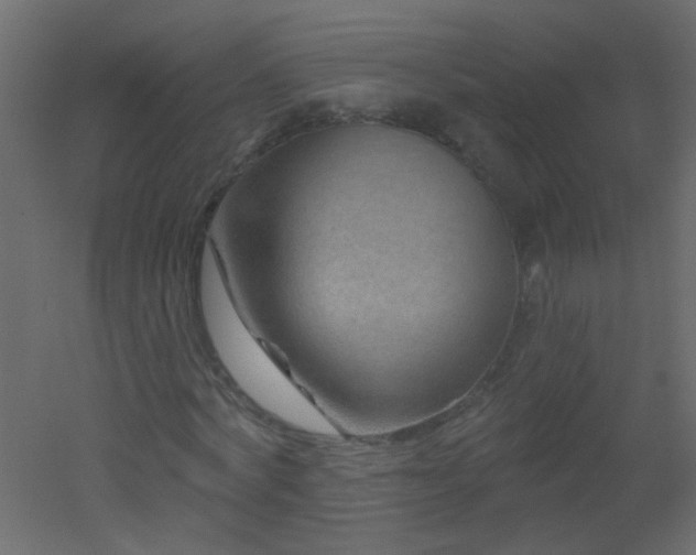 X0000051860772200506241320