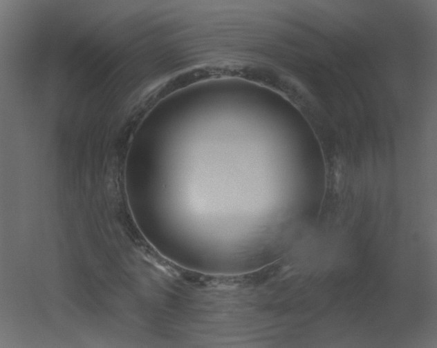 X0000051860773200506241320