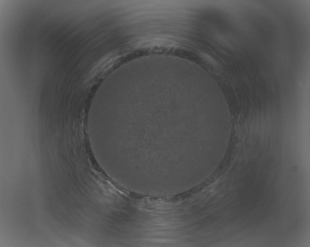 X0000051860774200506241320