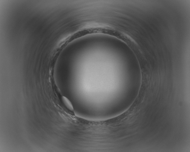 X0000051860775200506241320