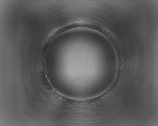 X0000051860776200506241320