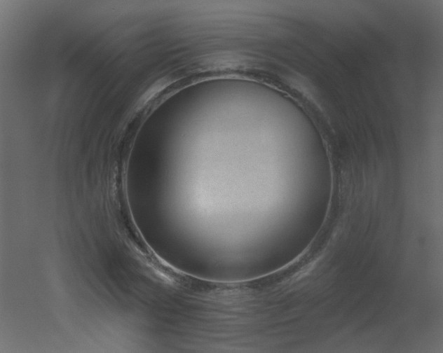 X0000051860778200506241320