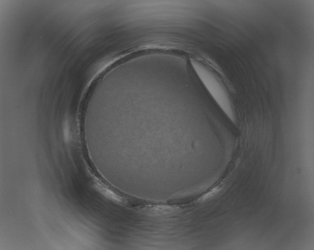 X0000051860779200506241320