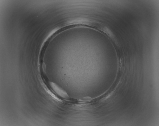 X0000051860780200506241320