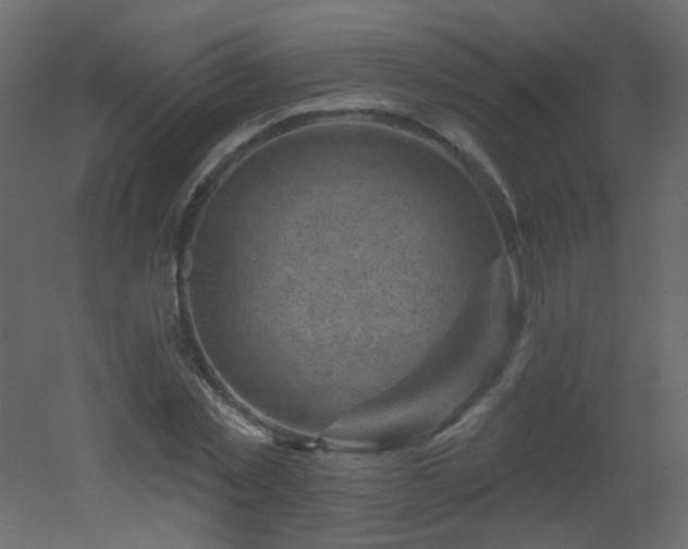 X0000051860781200506241320