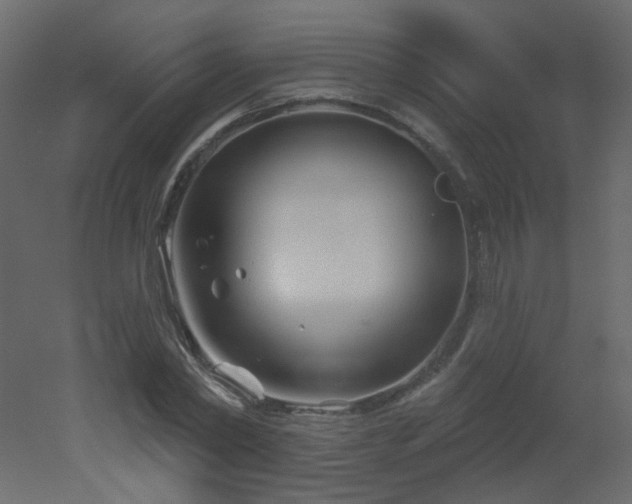 X0000051860782200506241320