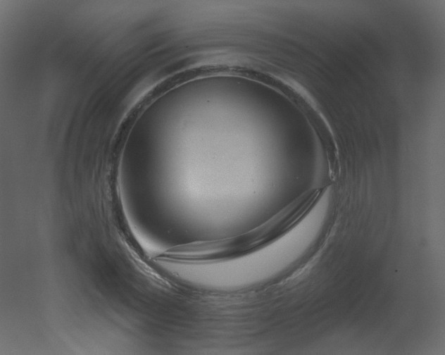 X0000051860783200506241320