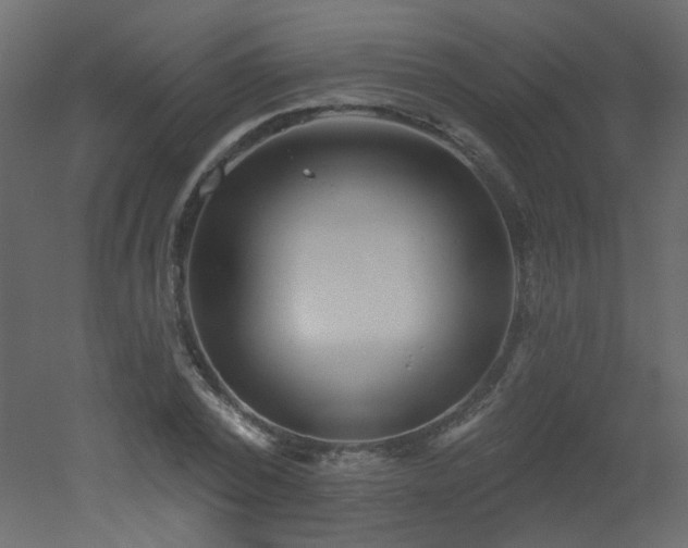 X0000051860784200506241320