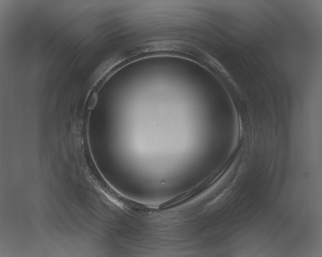 X0000051860786200506241320