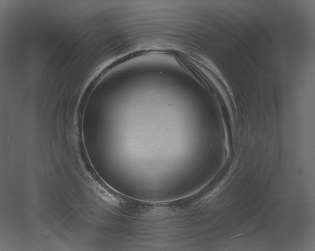 X0000051860787200506241320