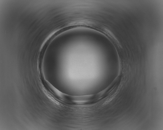 X0000051860788200506241320