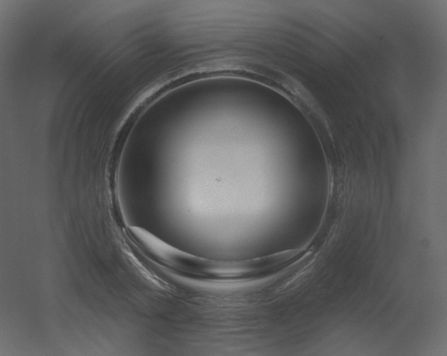 X0000051860789200506241320