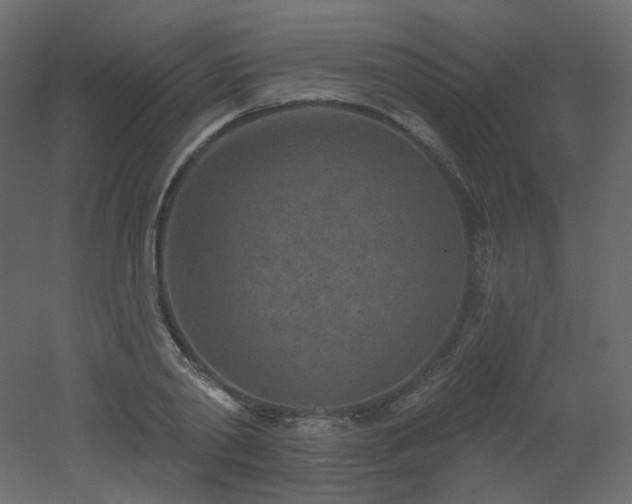 X0000051860790200506241320