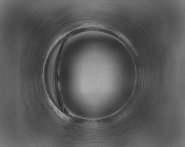 X0000051860791200506241320