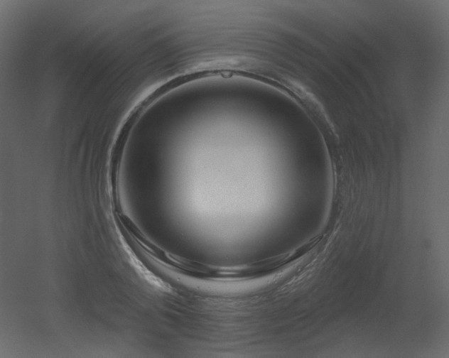 X0000051860792200506241320