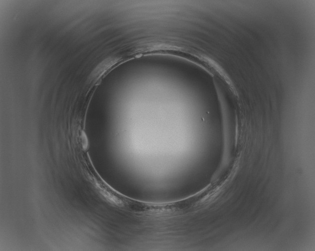 X0000051860793200506241320