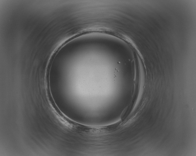 X0000051860795200506241320